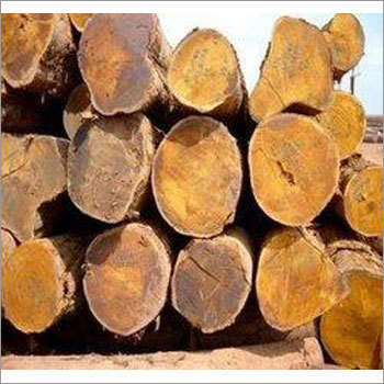 Indian Teak Wood Log