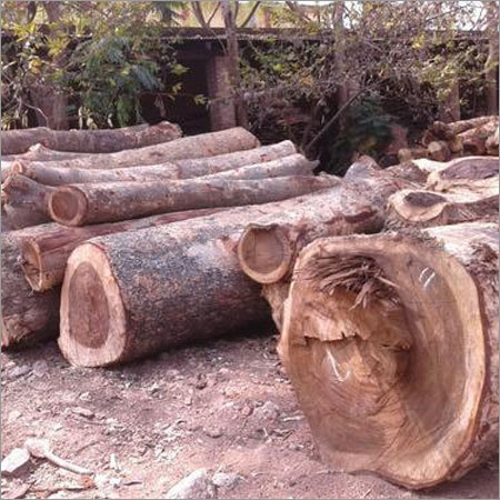 Siras Wood Log