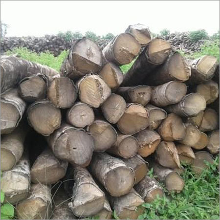 Gamari Wood