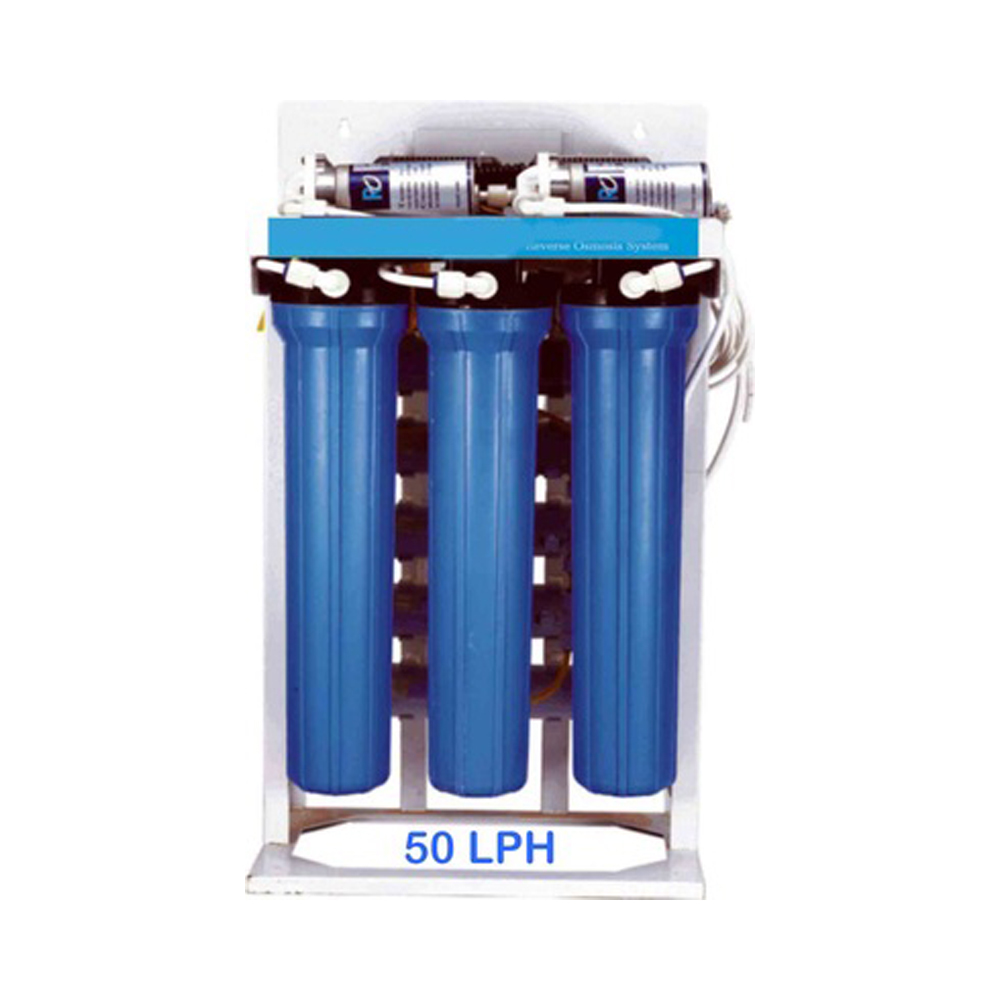 Leaupure 100 LPH RO Plant