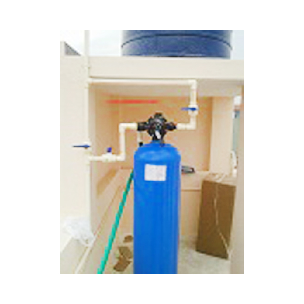 3000 LPH Leaupure Manual Water Softner