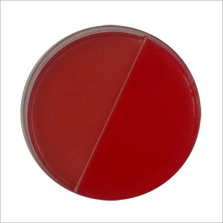 Blood Agar Plates with 5% Sheep Blood