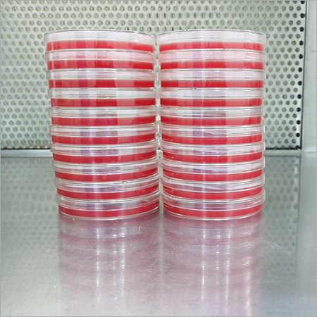 MacConkey Agar Plate