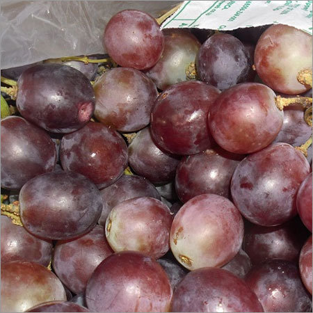 Fresh Grape