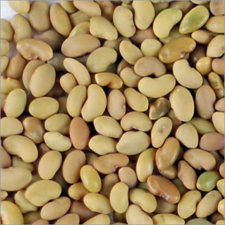 Alfalfa Seeds