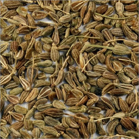 Anis Seed