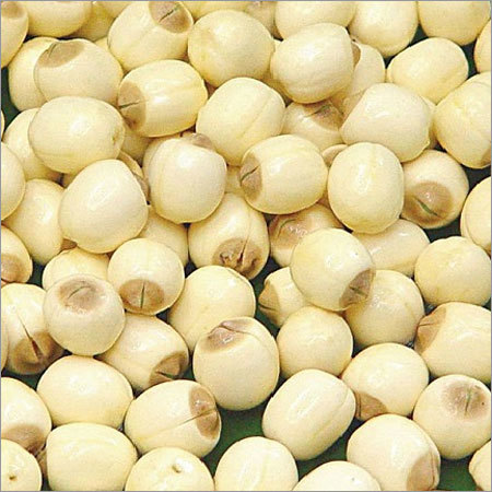 Lotus Seed