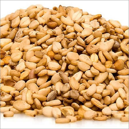 Sesame Seed
