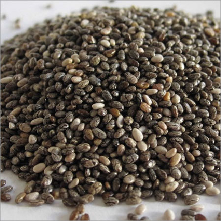 Chia Seed