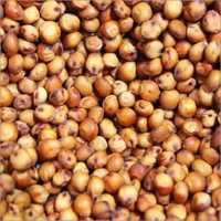 Sorghum Seeds