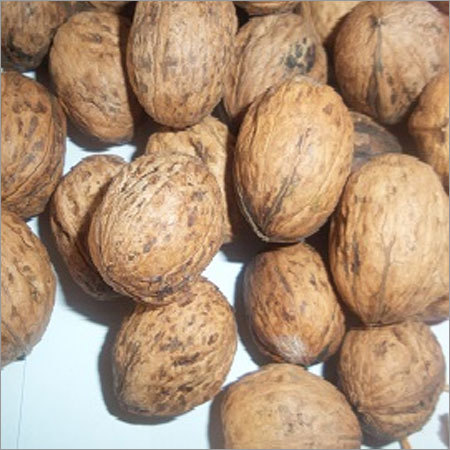 Walnut