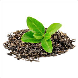 Tea Leaves