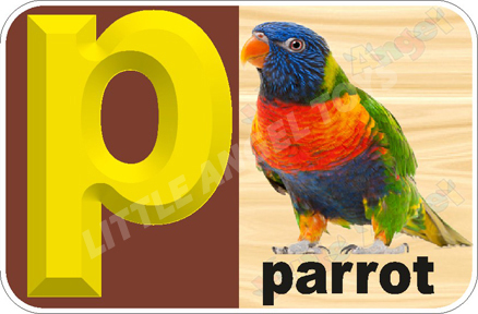 English Alphabet Flash Cards - Plastic Material, Modern Style, Yellow and Green | Easy to Use Design