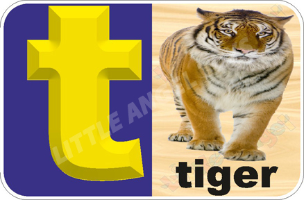 Yellow And Brown English Alphabet Flash Cards