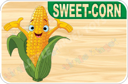 Vegetable Flashcards - Plastic Material, Modern Style, Yellow and Green Colors | Easy to Use Educational Tools