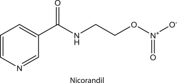 Nicorandil Powder Cas No: 65141-46-0