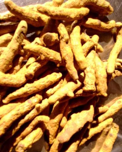 Dry Turmeric