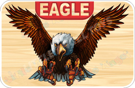 Brown Bird Flashcards