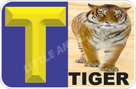 Yellow And Brown English Alphabet Capital Flashcards