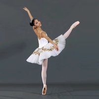 White Ballerina( Ballet Dancer) Dance Costumes