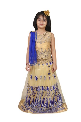 Crazeis Beautiful Lehenga Choli For Girls Age Group: 3-4 Yrs