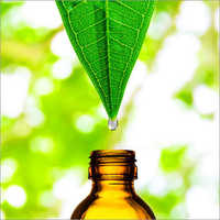 Herbal Extract - Nutrient-rich Infusion For Skin Health | Promotes Faster Healing, Nourishes Body With Vitamins And Minerals