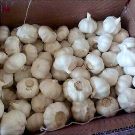 White Garlic