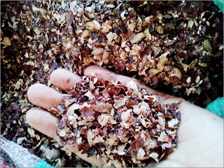 Cashew Husk