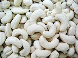 Cashew Nut