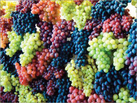 Fresh Grapes