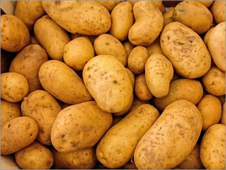 Fresh Potatoes