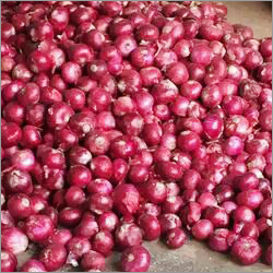 Red Onion