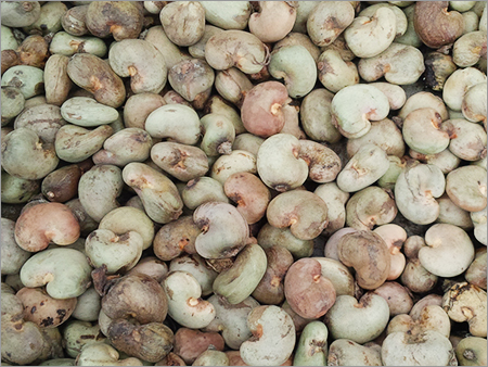 Raw Cashew