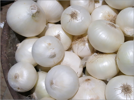 White Onion
