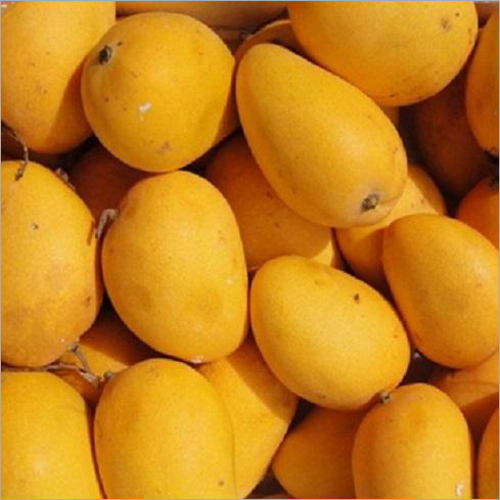 Banganapalli Mango