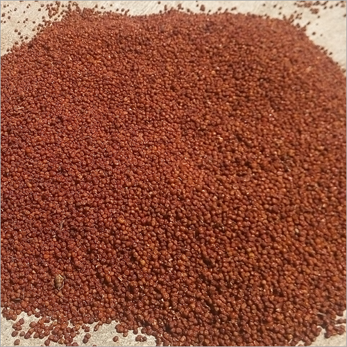 Dried Gloriosa Superba Seeds