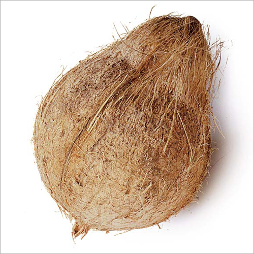 Husked Coconut