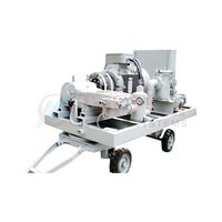 Triplex Reciprocating Pump - Flow Rate: 300 Lpm