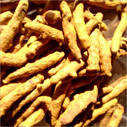 Yellow Turmeric