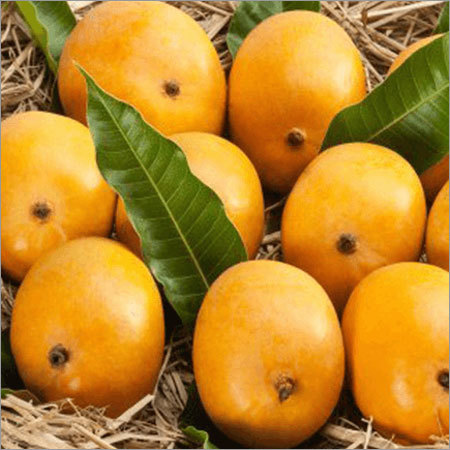 Alphonso Mango