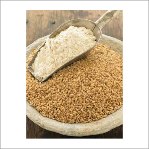 Wheat Flour