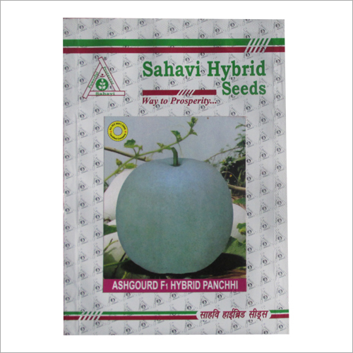 Ashgourd F1 Hybrid Panchhi