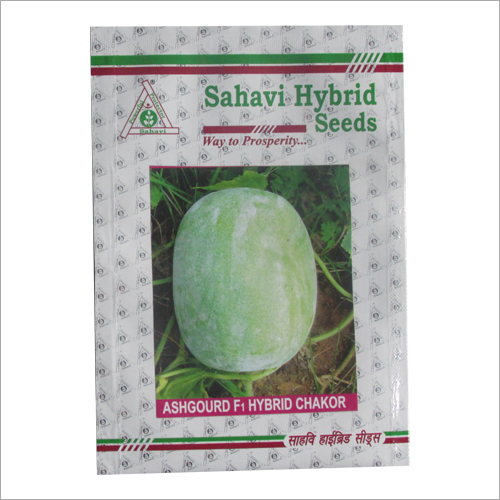 Ashgourd F1 Hybrid Chakor
