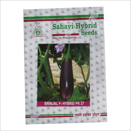 Brinjal F1 Hybrid PK27