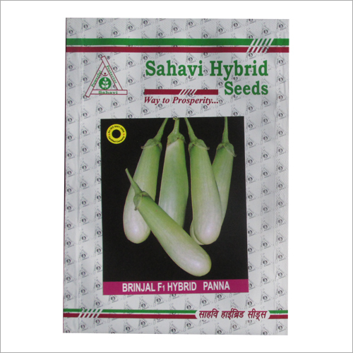 Brinjal F1 Hybrid Panna