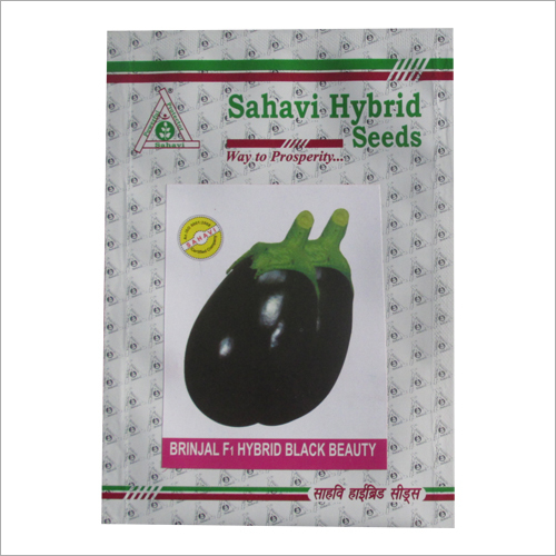 Brinjal F1 Hybrid Black Beauty