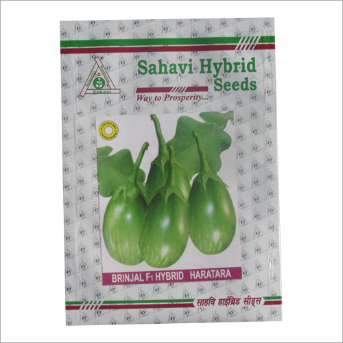 Brinjal F1 Hybrid Haratara