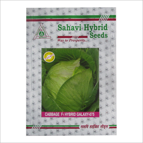Cabbage F1 Hydrid Galaxy 075
