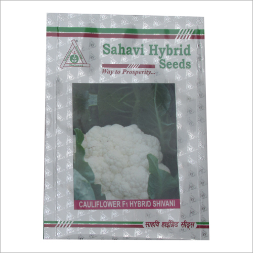Cauliflower F1 Hybrid Shivani