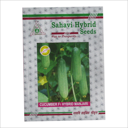 Cucumber F1 Hybrid Manjari
